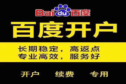 高效SEM托管公司案例对比分析